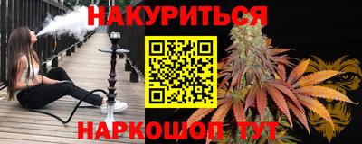 шишки Новодвинск