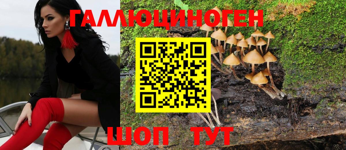 Ртищево  Псилоцибиновые грибы мухоморы  Вход с VPN 